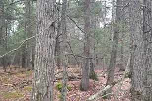 53B Johnson Rd, Windham, ME 04062 - Photo 27