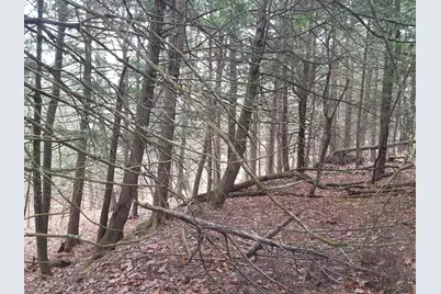 53 Johnson Road, Windham, ME 04062 - Photo 47