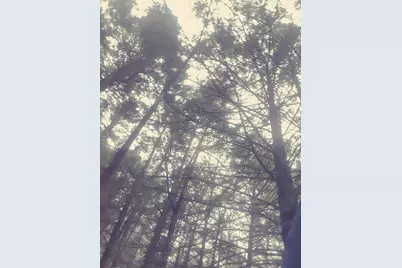 53 Johnson Road, Windham, ME 04062 - Photo 55