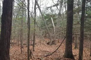 53B Johnson Rd, Windham, ME 04062 - Photo 39