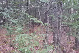 53B Johnson Rd, Windham, ME 04062 - Photo 25