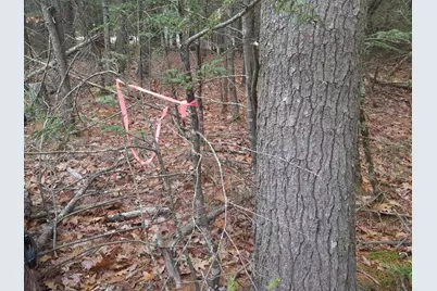 53 Johnson Road, Windham, ME 04062 - Photo 39