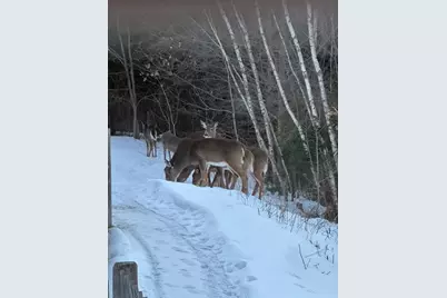 7 Emerald Acres, Madison, ME 04950 - Photo 39