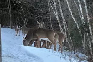 7 Emerald Acres, Madison, ME 04950 - Photo 39