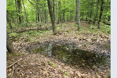 M10L44 Mountain View Road, Fryeburg, ME 04037 - Photo 7