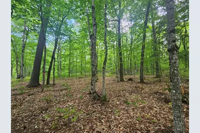 M10L44 Mountain View Road, Fryeburg, ME 04037 - Photo 5