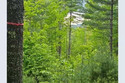 M10L44 Mountain View Road, Fryeburg, ME 04037 - Photo 1