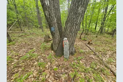 M10L44 Mountain View Road, Fryeburg, ME 04037 - Photo 17