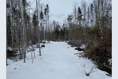 Lot 1 Moores Road, Springfield, ME 04487 - Photo 9
