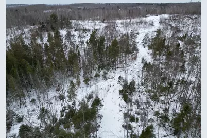 Lot 1 Moores Road, Springfield, ME 04487 - Photo 11