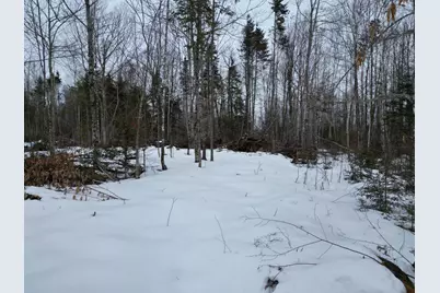 Lot 1 Moores Road, Springfield, ME 04487 - Photo 3