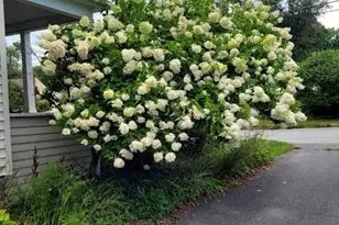 50 Boutelle Ave, Waterville, ME 04901 - Photo 21