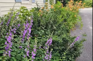 50 Boutelle Ave, Waterville, ME 04901 - Photo 19