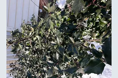 50 Boutelle Avenue, Waterville, ME 04901 - Photo 23