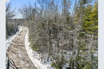 Lot #059 Paul Bunyan Road, Gouldsboro, ME 04624 - Photo 13