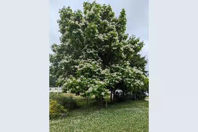 14 McNeil Road, Sumner, ME 04292 - Photo 53