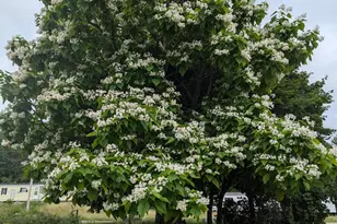 14 McNeil Rd, Sumner, ME 04292 - Photo 53