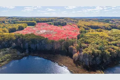 1443 Old Augusta Road, Waldoboro, ME 04572 - Photo 5