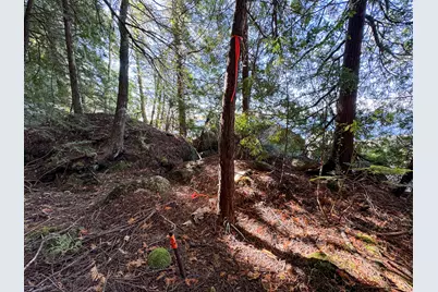 Lot 2 Loop Road, Enfield, ME 04493 - Photo 23