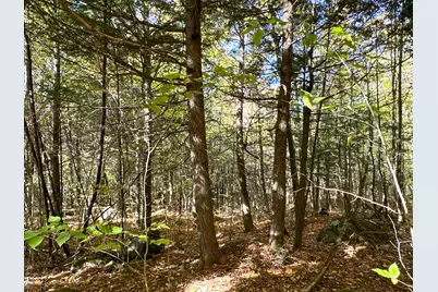 Lot 2 Loop Road, Enfield, ME 04493 - Photo 25