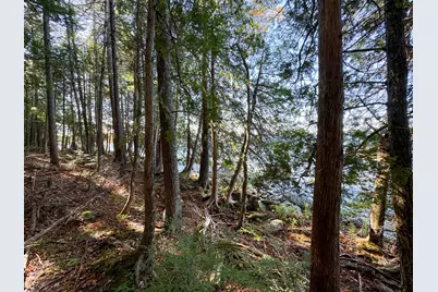 Lot 2 Loop Road, Enfield, ME 04493 - Photo 11