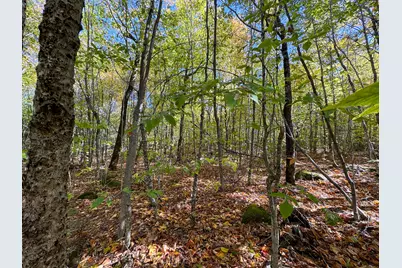 Lot 2 Loop Road, Enfield, ME 04493 - Photo 13