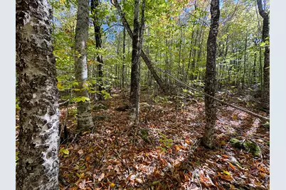 Lot 2 Loop Road, Enfield, ME 04493 - Photo 17