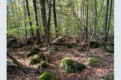 Lot 2 Loop Road, Enfield, ME 04493 - Photo 21
