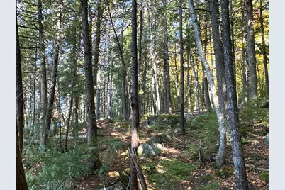 Lot 2 Loop Road, Enfield, ME 04493 - Photo 9