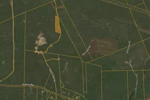 Lot 17 Harl's Camp Rd, Jonesboro, ME 04648 - Photo 1