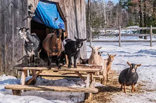 23 Zander Ln, Lyman, ME 04002 - Photo 39