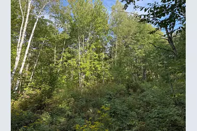 15 Moose Trail Drive, Waltham, ME 04605 - Photo 3