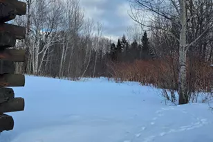 2048 County Rd, New Limerick, ME 04761 - Photo 9