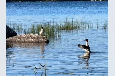 277 Gus Moore Road, Penobscot, ME 04476 - Photo 19