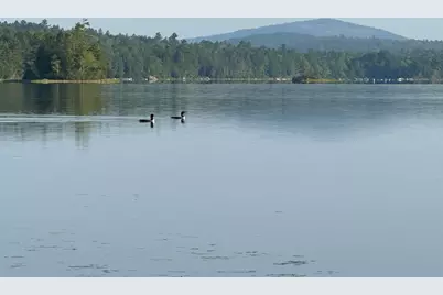 277 Gus Moore Road, Penobscot, ME 04476 - Photo 49