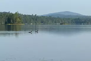 277 Gus Moore Rd, Penobscot, ME 04476 - Photo 49