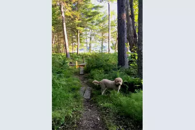 277 Gus Moore Road, Penobscot, ME 04476 - Photo 41