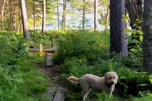 277 Gus Moore Rd, Penobscot, ME 04476 - Photo 41