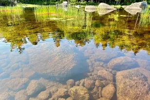 277 Gus Moore Rd, Penobscot, ME 04476 - Photo 39