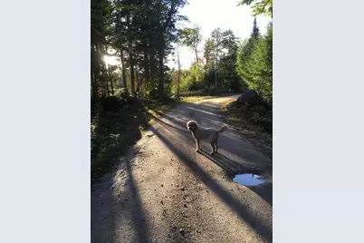 277 Gus Moore Road, Penobscot, ME 04476 - Photo 57