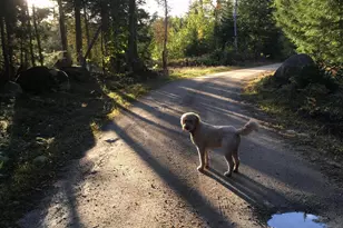 277 Gus Moore Rd, Penobscot, ME 04476 - Photo 57