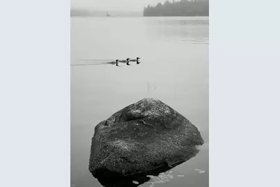 277 Gus Moore Road, Penobscot, ME 04476 - Photo 51