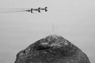 277 Gus Moore Rd, Penobscot, ME 04476 - Photo 51