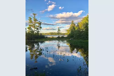 277 Gus Moore Road, Penobscot, ME 04476 - Photo 13