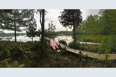 277 Gus Moore Road, Penobscot, ME 04476 - Photo 43