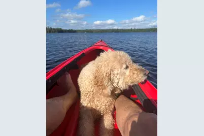 277 Gus Moore Road, Penobscot, ME 04476 - Photo 17