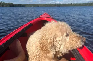 277 Gus Moore Rd, Penobscot, ME 04476 - Photo 17