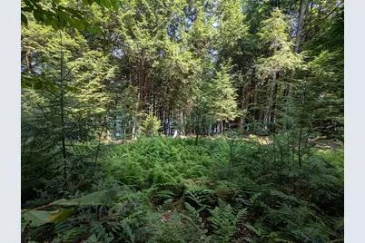 Lot #8 Kolm Lane, Garland, ME 04939 - Photo 3