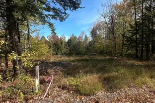 Lot 2 Hancock Pond Rd, Sebago, ME 04029 - Photo 1