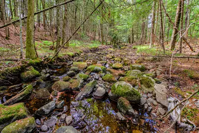 507 Norway Road, Harrison, ME 04040 - Photo 69